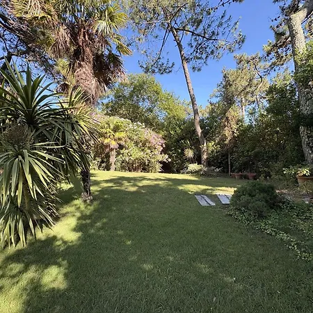 Charmante Familiale Au Cap Ferret, Proche Plages, 9 Pers - Fr-1-736-68 Villa *