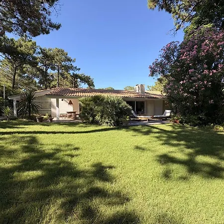 Charmante Familiale Au Cap Ferret, Proche Plages, 9 Pers - Fr-1-736-68 *